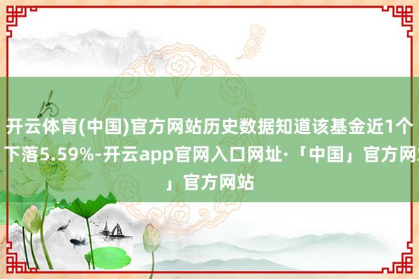 开云体育(中国)官方网站历史数据知道该基金近1个月下落5.59%-开云app官网入口网址·「中国」官方网站