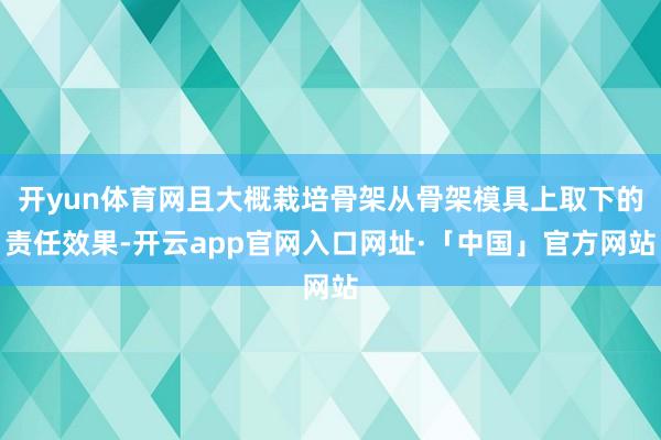 开yun体育网且大概栽培骨架从骨架模具上取下的责任效果-开云app官网入口网址·「中国」官方网站